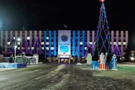 В Димитровграде нет денег на ГСМ, но есть на шишки и снежинки